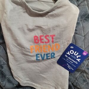 Youly Best Friend Ever Dog T-Shirt - Gray